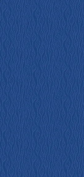 CSM DRI LI Pack Patterns 01 12AAUG25