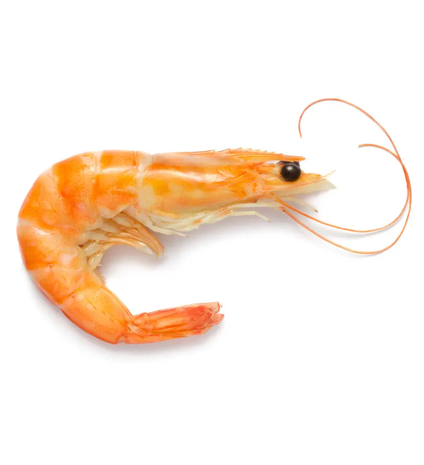Marisert