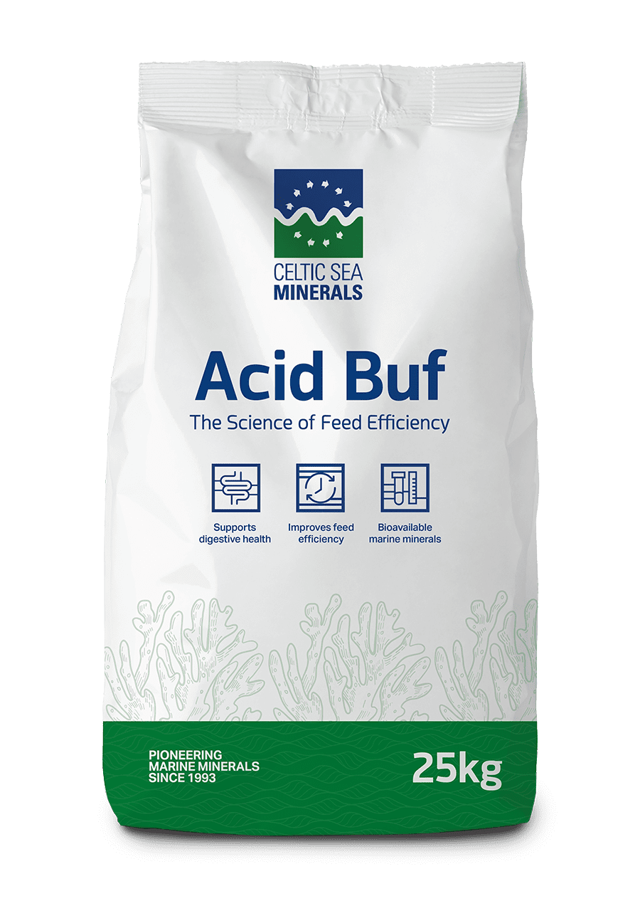 12028 Bag Renders Acid Buf LR