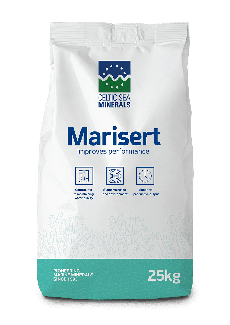 12028 Bag Renders Marisert LR
