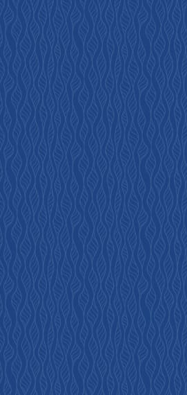 CSM DRI LI Pack Patterns 01 12AAUG25