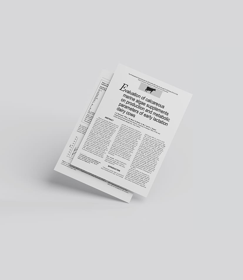 2014_Bernard et al._Acid Buf_Dairy Cows