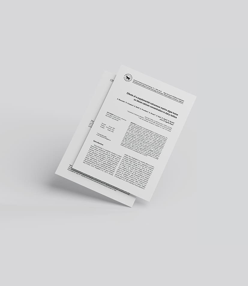 2022_Rossi et al._Acid Buf_Dairy Cows