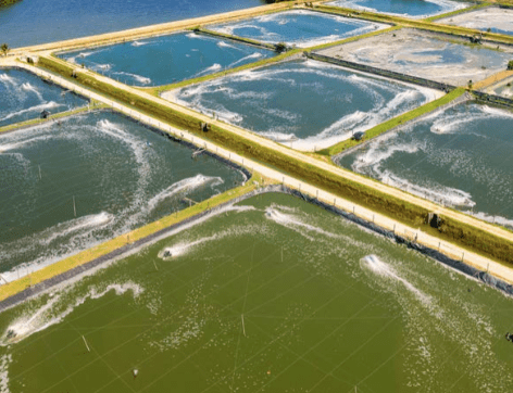 Screenshot 2025 10 07 144419