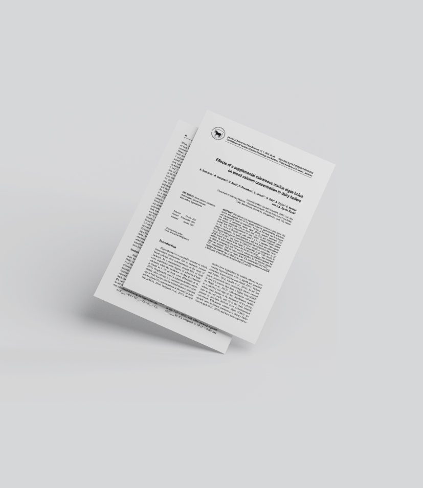 Boccardo et al 2022 Effects of a supplemental calcareous marine algae bolus on blood calcium concentration in dairy heifers
