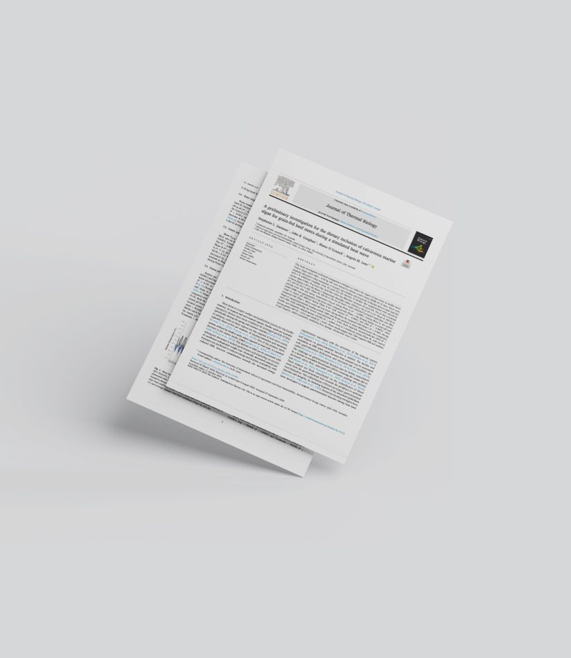 Sammes et al 2025 A preliminary investigation for the dietary inclusion of calcareous marine algae for grain fed beef steers during a simulated heat wave